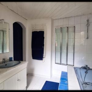 a bathroom with a sink and a bathtub and a tub at Baleine-Les Jardins de Kuz in Bernin