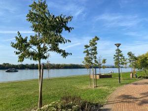 een park naast een meer met bomen in het gras bij Comfortable place on the Marina port in Boedapest