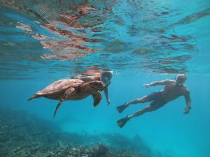 Hosté ubytování Isla Dhiffushi
