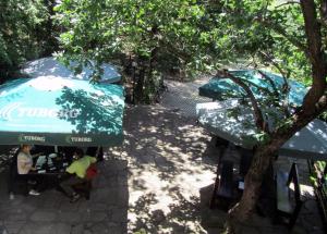 
a street scene with trees and umbrellas at Vulture Centre Eastern Rhodopes in Madzharovo
