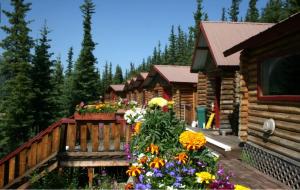 Ein Garten an der Unterkunft Denali Crow's Nest Cabins