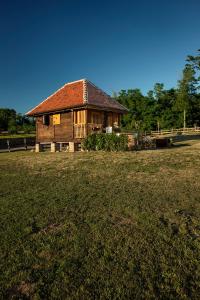 a wooden house in a field with a grass yard at Tiny house AMBAR in Starčevljani