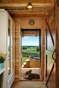 Снимка в галерията на Tiny house AMBAR в Starčevljani