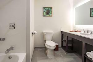 a bathroom with a toilet and a sink and a tub at Comfort Inn & Suites Tobago in Tobago Island