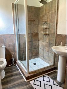 a bathroom with a shower and a toilet and a sink at Angazi Guesthouse Unit 3 - Modern 2 Bedroom Apartment with Pool in Hillcrest