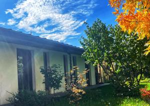 a house with a tree in the yard at #outofboxproject tiny-home and garden house in Timişoara