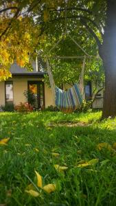 a hammock hanging from a tree in front of a house at #outofboxproject tiny-home and garden house in Timişoara