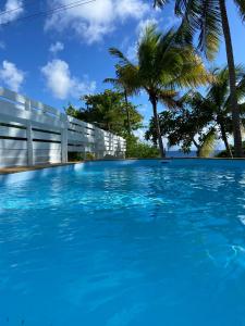 einen Pool mit blauem Wasser und Palmen in der Unterkunft Le M Hotel Marie Galante in Beauregard