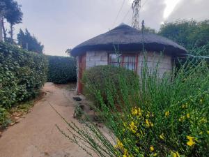 Cabaña pequeña con techo de paja en un campo en Chocks Guest House, en Lejone