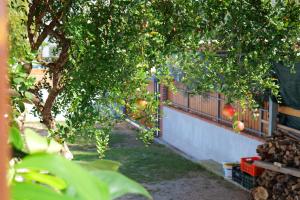 un manzano en un patio junto a una valla en Stela Apartments, en Ksamil