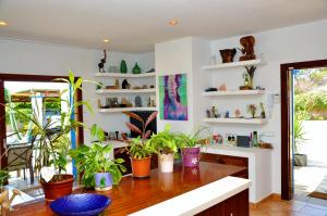 Villa Can Blau Ibiza في مدينة إيبيزا: غرفة مع خزاف نباتات على طاولة خشبية