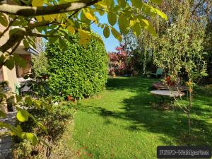 Κήπος έξω από το Ferienwohnung Waldgarten +8 φωτογραφίες