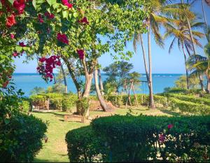a park with trees and the ocean in the background at Casa do Balanço in Ilha de Boipeba +20 photos