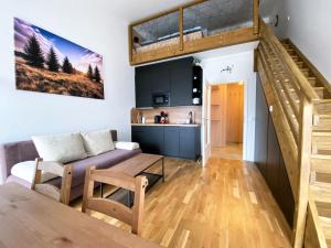 salon i kuchnia z antresolą w obiekcie Miky Apartmán Klínovec view w mieście Loučná pod Klínovcem