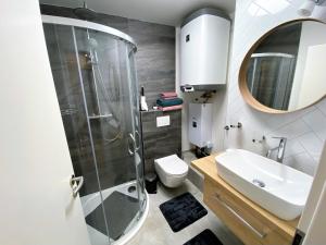 W łazience znajduje się prysznic, umywalka i toaleta. w obiekcie Miky Apartmán Klínovec view w mieście Loučná pod Klínovcem +15 zdjęć