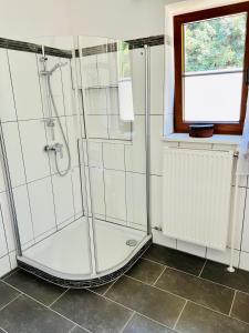 baño con ducha y puerta de cristal en Ferienhaus Lebenskraft, en Pfaffetschlag