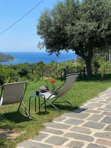 two chairs and a table in the grass with a tree at HOTEL MYRTUS in Agropoli