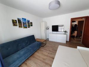 a living room with a blue couch and a television at Apartament Tadeusz 2 B in Krynica Zdrój