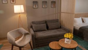 ein Wohnzimmer mit einem Sofa und einem Stuhl in der Unterkunft Луксозно студио One Place in Sofia A1 - Лозенец in Sofia