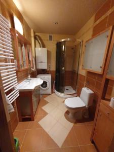ein Bad mit einem WC, einem Waschbecken und einer Dusche in der Unterkunft Apartament Tadeusz 2 B in Krynica-Zdrój