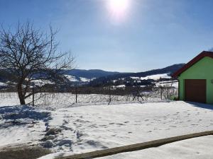a snow covered yard with a house in the background at Apartament Tadeusz 2 B in Krynica Zdrój