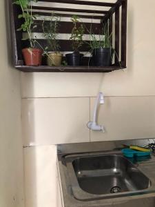um lavatório de cozinha com vasos de plantas numa prateleira em Recanto Magalhães em Barra do Garças