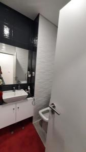 La salle de bains est pourvue d'un lavabo, de toilettes et d'un miroir. dans l'établissement Apartamento da Antónia, à Viseu