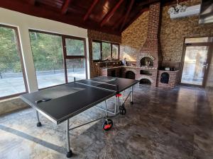 a ping pong table in a room with a fireplace at Casa LUCA in Luncasprie