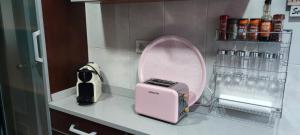 una tostadora rosa sentada en una encimera en una cocina en Espacioso apartamento en el corazon del Pais Vasco, en Mallavia