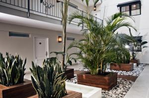 布宜諾斯艾利斯的住宿－努斯布宜諾斯艾利斯蘇荷酒店，大堂种植了盆栽植物,设有楼梯
