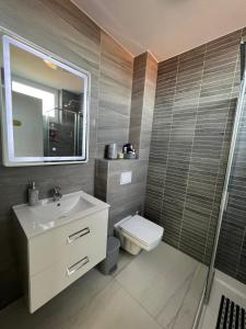 uma casa de banho com um WC, um lavatório e um chuveiro em MY PLACE em Slavonski Brod