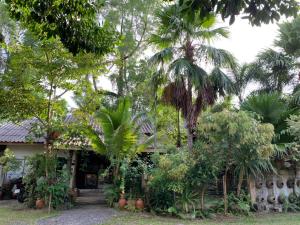 a house with palm trees in front of it at Krua Chehe Resort ครัวเจ๊ะเห รีสอร์ท 