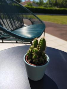 uma planta em vasos sentada numa mesa ao lado de uma cadeira em Hôtel de la Marine em Saint-Herblain