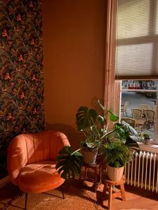 a living room with a chair and some plants at Boetiek hotel Azul in Goedereede