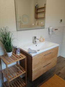 a bathroom with a sink and a mirror at Ferienhaus Sonnenschein in Insel Poel