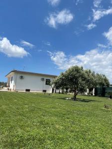 A garden outside Villa Daniele