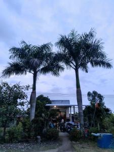 two palm trees in front of a gas station at Bà Ngoại Homestay in Cà Mau