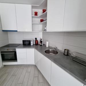 Kuchnia lub aneks kuchenny w obiekcie Apartman Magnolija Umag