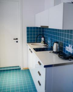 Kuchyň nebo kuchyňský kout v ubytování Kazbegi Apartments