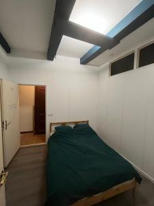 a bedroom with a bed and a blue ceiling at IRU, not for parties, not a hotel, room with no kitchen in Amsterdam +13 photos