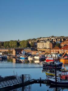 a group of boats docked in a harbor at Endeavour Cottage - A Wonderful Whitby Holiday in Whitby +120 photos