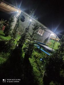 une maison avec une table de pique-nique dans l'herbe la nuit dans l'établissement Xanbulan_Home, 