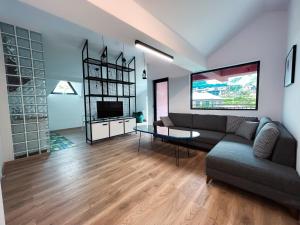 TV a/nebo společenská místnost v ubytování Kazbegi Apartments