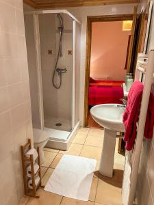 a bathroom with a shower and a sink at Chalet l'Arnica in Les Gets