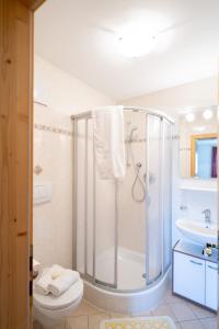 a bathroom with a shower and a toilet and a sink at Fortschöllhof in Castelrotto