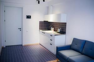 Kuchyň nebo kuchyňský kout v ubytování Kazbegi Apartments