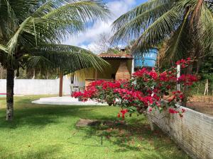 un jardín con flores rosas y una casa con una palmera en Casa de 4 quartos á 6Km da praia de Lagoinha-ce, en Camboa