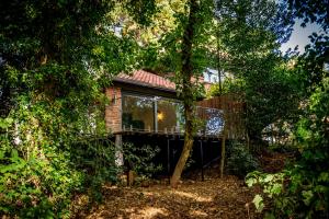 a house in the middle of the forest at Tawny Lodge in York