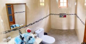a bathroom with a white toilet and a sink at Desired View in Choiseul