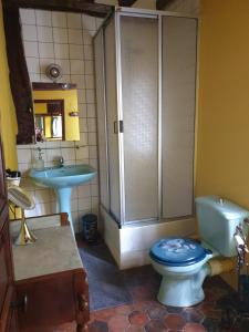 a bathroom with a toilet and a sink at LA GAUDINIERE in Lyons-la-Forêt